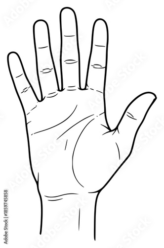a black and white outline of a hand showing the palm of the hand to the viewer, black, drawing, finger, hand, illustration, open, outline, palm, show, viewer, against transparent background