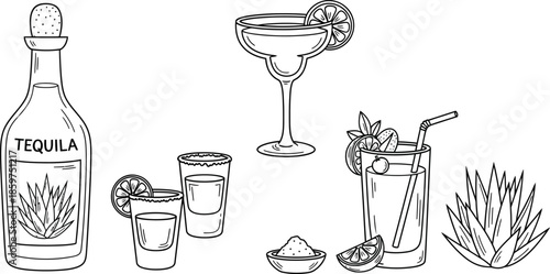 Tequila bottle and glasses with lime and agave plant