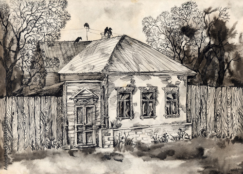 Old wooden ukrainian house. Ink sketch