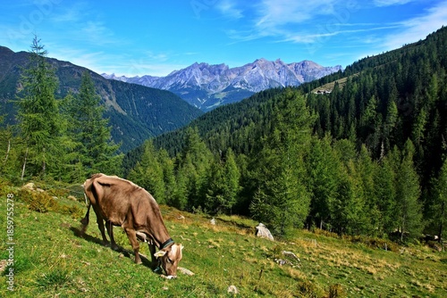 Austrian Alps - view of the peaks in Lechtal Alps from the footpath to the Versingalpe Hutte near village See