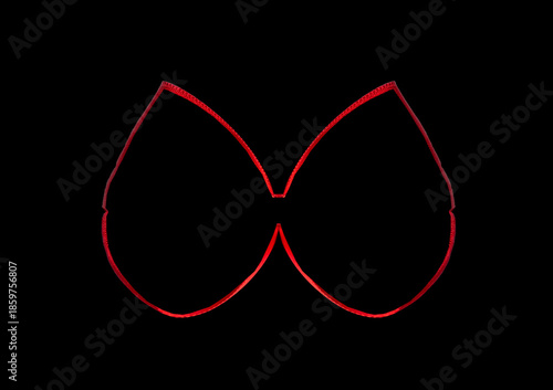 Thin outlines of a large red bow on a black background.