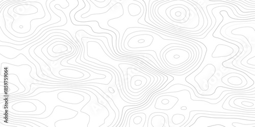 Gray wave paper curved reliefs abstract on transparent background, Abstract topographic contours map background, topography line map. Vintage outdoors style. World map Template. Stock vector