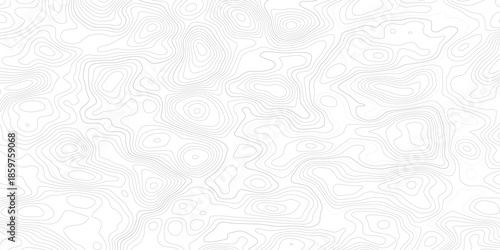 Gray wave paper curved reliefs abstract on transparent background, Abstract topographic contours map background, topography line map. Vintage outdoors style. World map Template. Stock vector