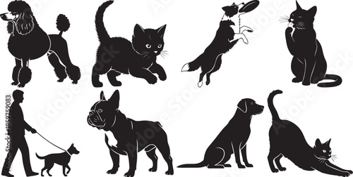 Domestic pets silhouette collection featuring various breeds of cats and dogs in playful activities
