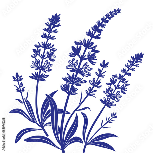 Blue lavender sprigs vector illustration featuring aromatic wild sage herbs on isolated transparent background art