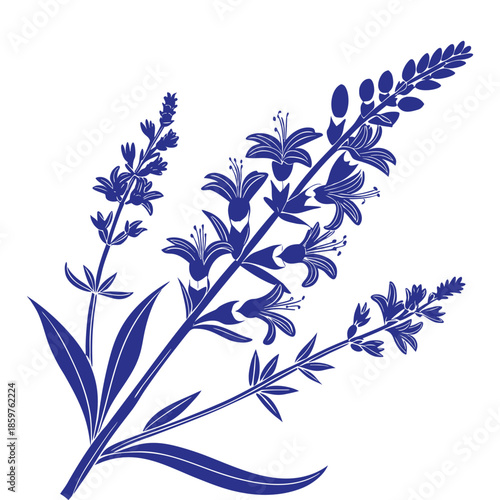 Blue silhouette of lavender sprigs and sage flowers showing intricate blossoms and elongated leaves on background