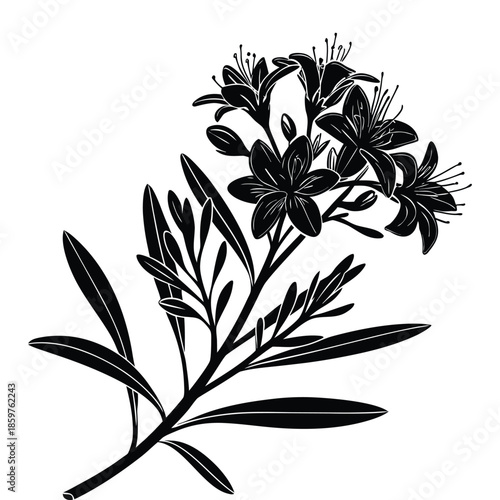 Detailed black silhouette of flowering branch with five petal blossoms and narrow leaves in vertical composition