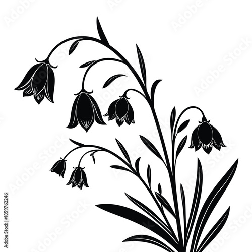 Graceful silhouette of bellflowers with curved stems and nodding blossoms displayed against checkered background