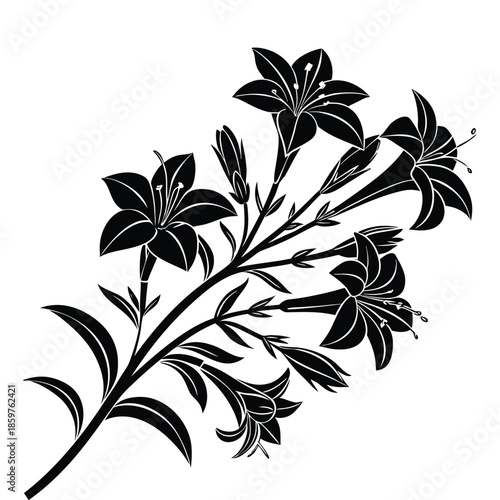 Multiple lily blossoms on a slender stem with graceful buds and foliage for classic floral background elements
