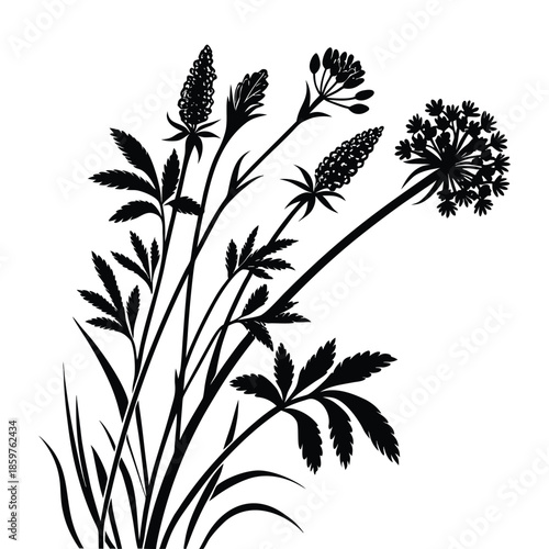 Plantain silhouette black color isolated on transparent background hand drawn vector illustration grass flora elements