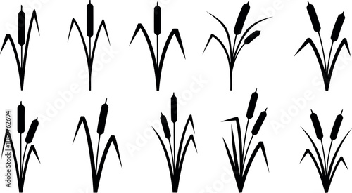 Employee appreciation day illustration