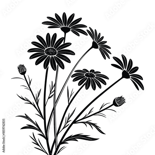 Black silhouette of daisies with detailed petals and buds on transparent background, elegant floral arrangement