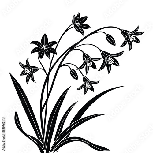 Black silhouette of lilies with bell shaped flowers and long leaves on transparent background