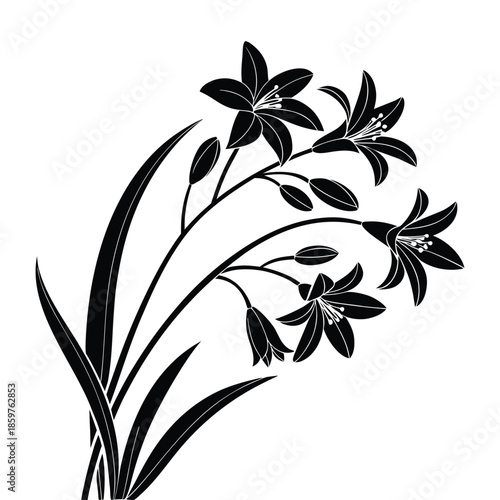 Elegant black silhouette of blooming lilies and buds with long leaves on transparent background