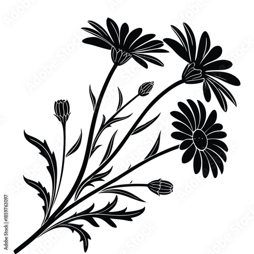 Black silhouette of a wild daisy bouquet vector illustration showcasing meadow flowers with buds and lobed leaves perfect for decor