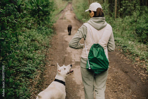 Wallpaper Mural Professional dog walker. woman trains feeds dogs in forest. Dogs of different breeds. woman is wearing hat, vest. walking with pets in park. Happy animals are running around forest without leashes. Torontodigital.ca