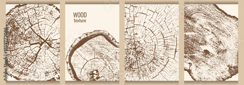 Natural eco background with wood texture. Cross-section of tree trunk with visible growth rings and cracks. Template for menu cover, brochure, flyer. Vector illustration.