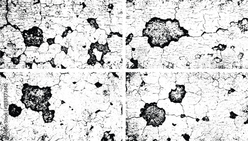 Microscopic view of cells on a textured surface in black and white