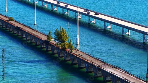Fred The Tree in the Florida Keys. 4k aerial drone parallax video 2025