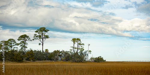 Konstfotografi Panormaic view of coastal salt marsh and islands at Hunting Island, South Caroli