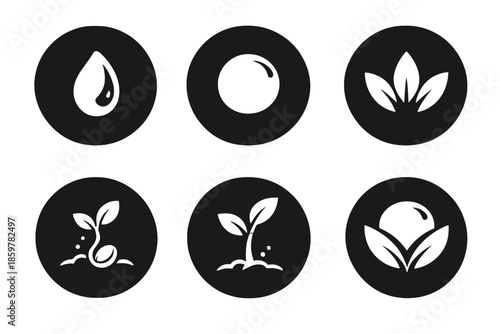 Organic Creation Icons. Solid style round vector icons of organic creation: seed, circle, petal, germination line, stem, orb No
