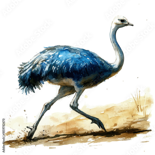Ostrich Running Swiftly, illustration watercolor artwork with subtle gradients and elegant contours, isolated on a white background.