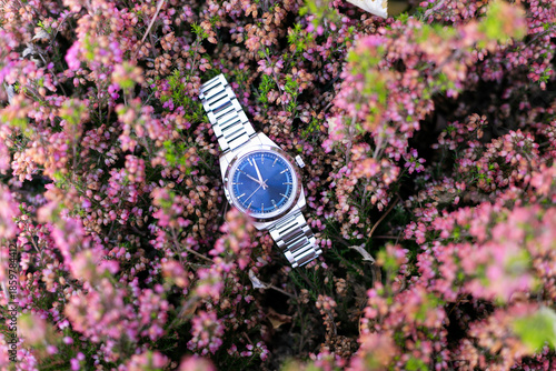 reloj, cronometrar, tiempo, reloj de pulsera, naturaleza, flor, florecer, morada, violacea, beldad, bodegón