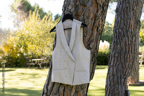 beldad, moda, árbol, al aire libre, estilo de vida, chaleco, vestimenta, crema