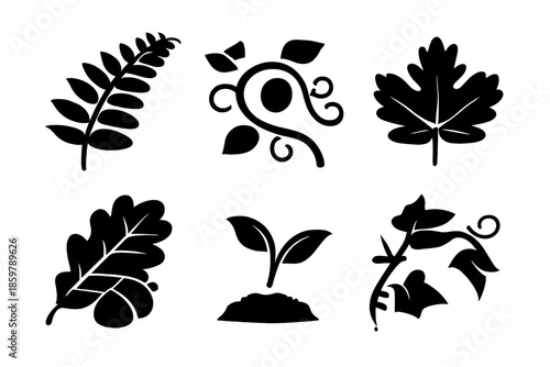 Leafy Icons Collection. Solid vector icons of leafy growth: fern, vine, oak leaf, maple leaf, sprout, ivy tendril No text, No