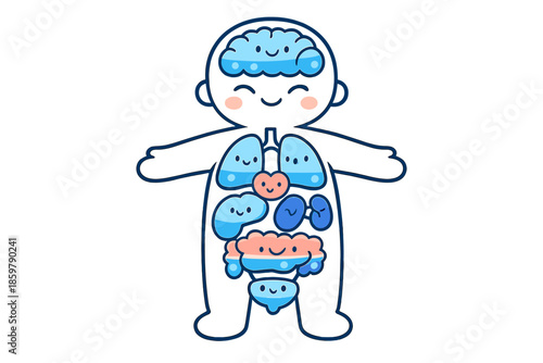 Organism Hydro Map. Doodle-style vector icon of an organism hydro map, stylized human figure with organs shown as cute shapes