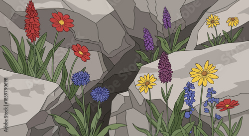 Vibrant wildflowers in various colors blooming from narrow cracks within grey rocks, illustrating nature's persistent beauty and growth.