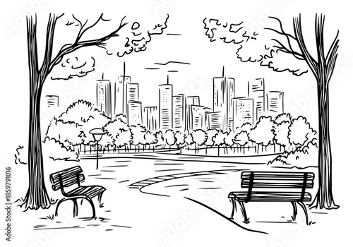 City park landscape with wooden benches. Urban public garden view with skyscrapers skyline background vector sketch.