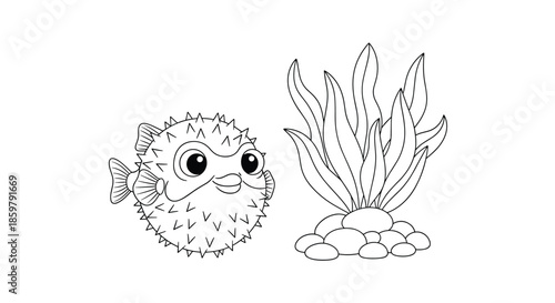 Simple line art drawing of a round spiky pufferfish swimming next to a cluster of leafy seaweed growing from a pile of smooth stones.