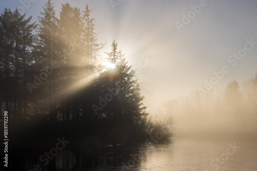 soft sun rays in fog symbolizing loss and remembrance