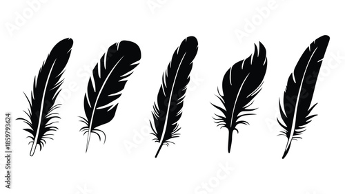 Collection of black feather silhouettes on a