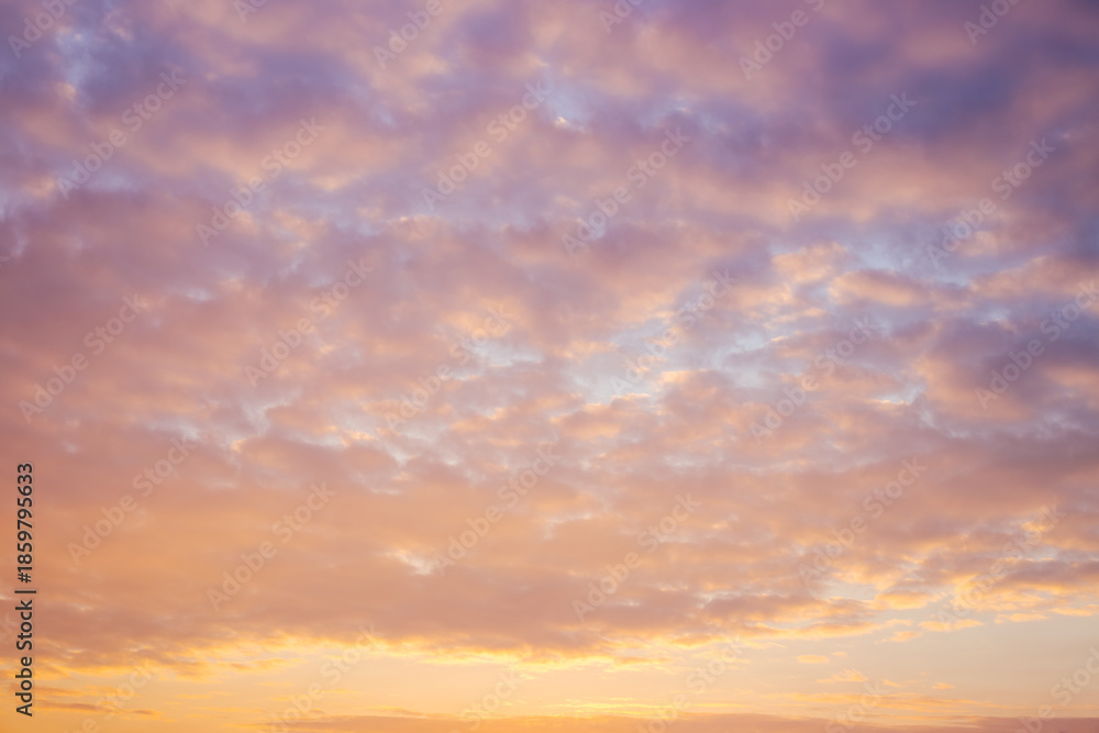 Fototapeta premium Evening cloudy sky at sunset, illuminated with pink and orange light