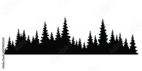 Fir trees silhouette. Coniferous spruce horizontal background pattern, black evergreen woods vector illustration. Beautiful hand drawn panorama of coniferous forest