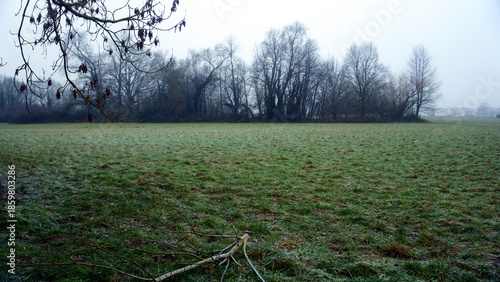 Green grass field in winter fog. Misty cold morning over meadow with fresh green grass, low visibility and grey sky, calm seasonal landscape in late autumn or early winter.