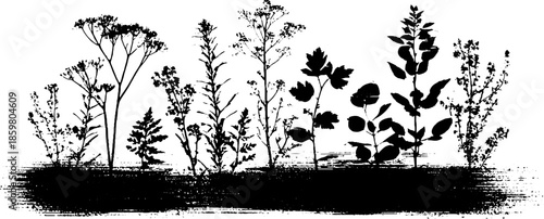 Black and white stencil illustration of deep forest understory for nature-themed designs
