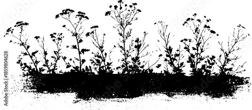 Monochrome stencil illustration of dense undergrowth for nature themed designs