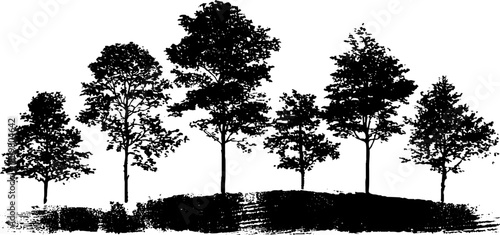 Monochrome stencil illustration of forest undergrowth with trees