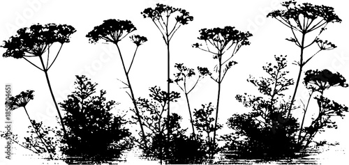 Black and white stencil illustration of dense undergrowth vegetation for nature-inspired designs