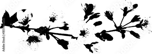 Black and white cherry blossom stencil art for decorative design