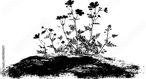 Delicate frost filigree stencil art in black and white - nature-inspired design