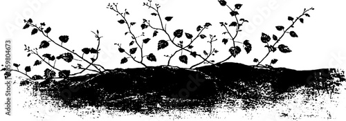 Black and white frost filigree stencil illustration for design and decor