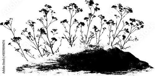 Black and white stencil illustration of delicate frost filigree for artistic design