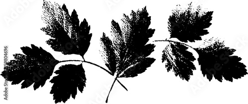 Delicate black and white frost pattern stencil design for art projects