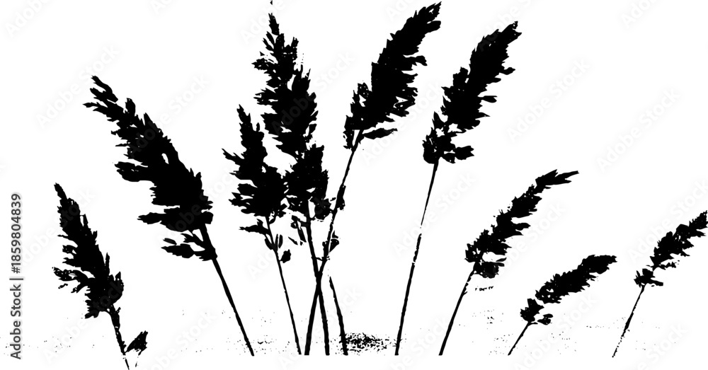 Obraz premium Black and white stencil illustration of dense coastal grasses