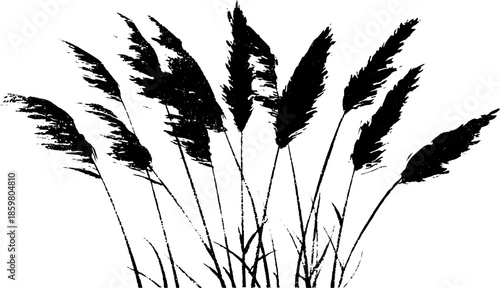 Black and white stencil illustration of dense coastal grasses for natural decor