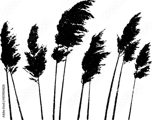 Black and white stencil of dense coastal grasses for artistic design